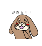 推しがいるうさいぬさん（個別スタンプ：3）