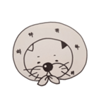 funny n cute cat 2（個別スタンプ：13）