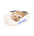 NENEs DIARY（個別スタンプ：5）