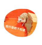 NENEs DIARY（個別スタンプ：7）