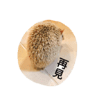 NENEs DIARY（個別スタンプ：12）