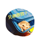 NENEs DIARY（個別スタンプ：13）