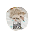 NENEs DIARY（個別スタンプ：14）