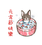 Kitty Anna's Blessing（個別スタンプ：11）