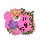 Mimi the cute Pomeranian(2)（個別スタンプ：36）
