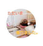 なつくんスタンプ（個別スタンプ：18）