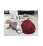 我が家の仲間たち2（個別スタンプ：7）