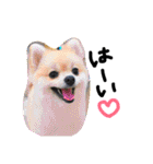 クロエのお友達スタンプ（個別スタンプ：4）