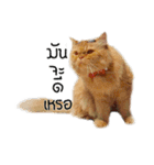 Tood Meuk Family（個別スタンプ：38）