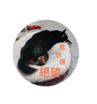 halu8777（個別スタンプ：8）