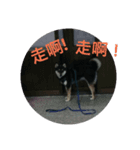 halu8777（個別スタンプ：14）
