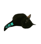 Meow the Black Cat（個別スタンプ：9）