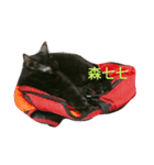 Meow the Black Cat（個別スタンプ：11）
