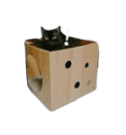 Meow the Black Cat（個別スタンプ：14）