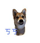 good good dog（個別スタンプ：5）