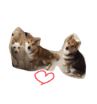good good dog（個別スタンプ：12）