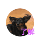 tamafuku（個別スタンプ：2）