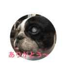 tamafuku（個別スタンプ：5）