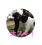 tamafuku（個別スタンプ：6）