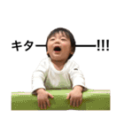 毎日つむぎくん2（個別スタンプ：1）