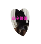 りりたんの日常（個別スタンプ：1）