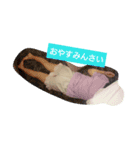 ちゃんあいちゃん（個別スタンプ：5）