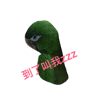 Parrot happy everyday（個別スタンプ：4）