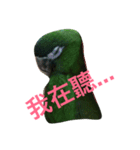 Parrot happy everyday（個別スタンプ：11）