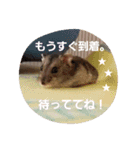 Peace-Stamp 01（個別スタンプ：13）