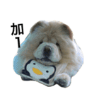 hoohoo life 2（個別スタンプ：6）