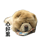 hoohoo life 2（個別スタンプ：7）