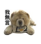 hoohoo life 2（個別スタンプ：9）
