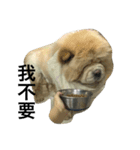 hoohoo life 2（個別スタンプ：10）