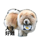 hoohoo life 2（個別スタンプ：12）