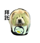 hoohoo life 2（個別スタンプ：14）