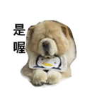 hoohoo life 2（個別スタンプ：15）