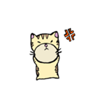きなちろ（個別スタンプ：2）