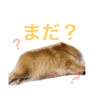 Iori1006（個別スタンプ：20）