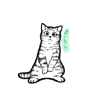 にゃ〜の1日（個別スタンプ：6）