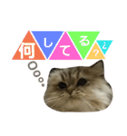 pop.n（個別スタンプ：14）
