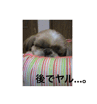 それいけ！ジョンぷー（個別スタンプ：15）