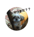 それいけ！ジョンぷー（個別スタンプ：21）