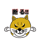 柴犬紅龍号（個別スタンプ：2）