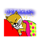 柴犬紅龍号（個別スタンプ：4）