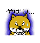 柴犬紅龍号（個別スタンプ：12）