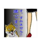 柴犬紅龍号（個別スタンプ：14）
