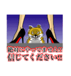 柴犬紅龍号（個別スタンプ：15）