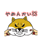 柴犬紅龍号（個別スタンプ：17）