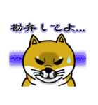 柴犬紅龍号（個別スタンプ：18）