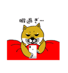 柴犬紅龍号（個別スタンプ：24）